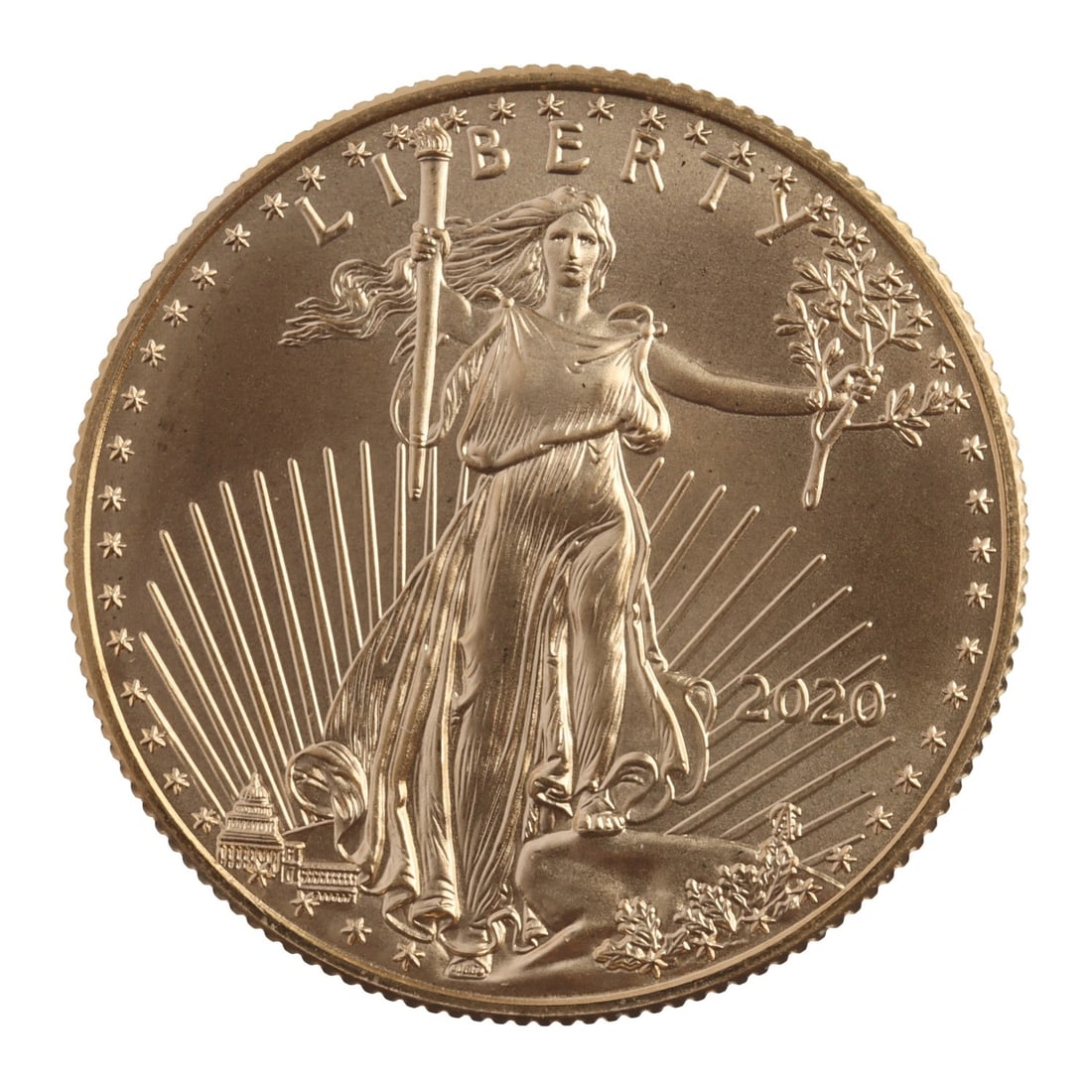 2020 HALF OUNCE GOLD AMERICAN EAGLE (1 of 2)