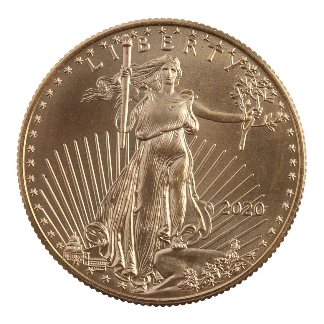 2020 HALF OUNCE GOLD AMERICAN EAGLE (1 of 2)