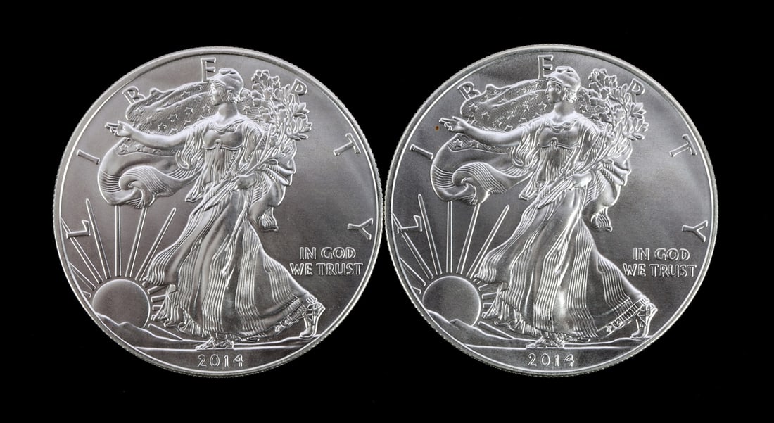 2 ONE TROY OUNCE .999 SILVER EAGLE 2014 (1 of 2)