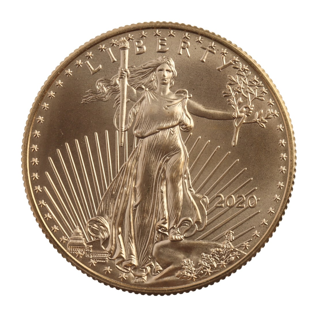2020 HALF OUNCE GOLD AMERICAN EAGLE (1 of 2)