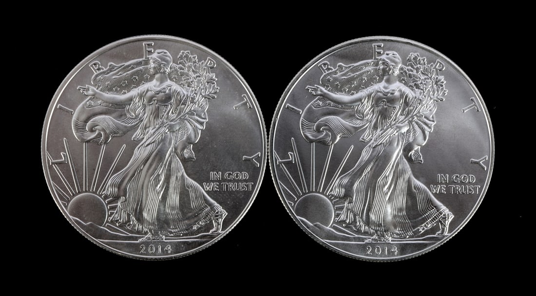 2 ONE TROY OUNCE .999 SILVER EAGLE 2014 (1 of 2)