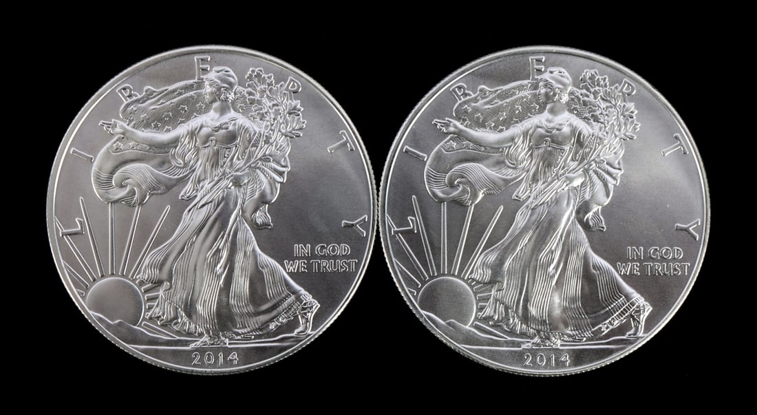 2 ONE TROY OUNCE .999 SILVER EAGLE 2014 (1 of 2)