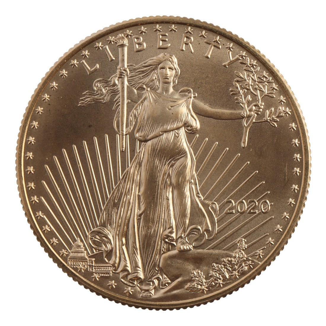 2020 HALF OUNCE GOLD AMERICAN EAGLE: Brilliant uncirculated Payment: Bidder accounts without an established purchase history must pay via Zelle, money order, cashier's check or wire transfer. Shipping: Affiliated Auctions will ship items