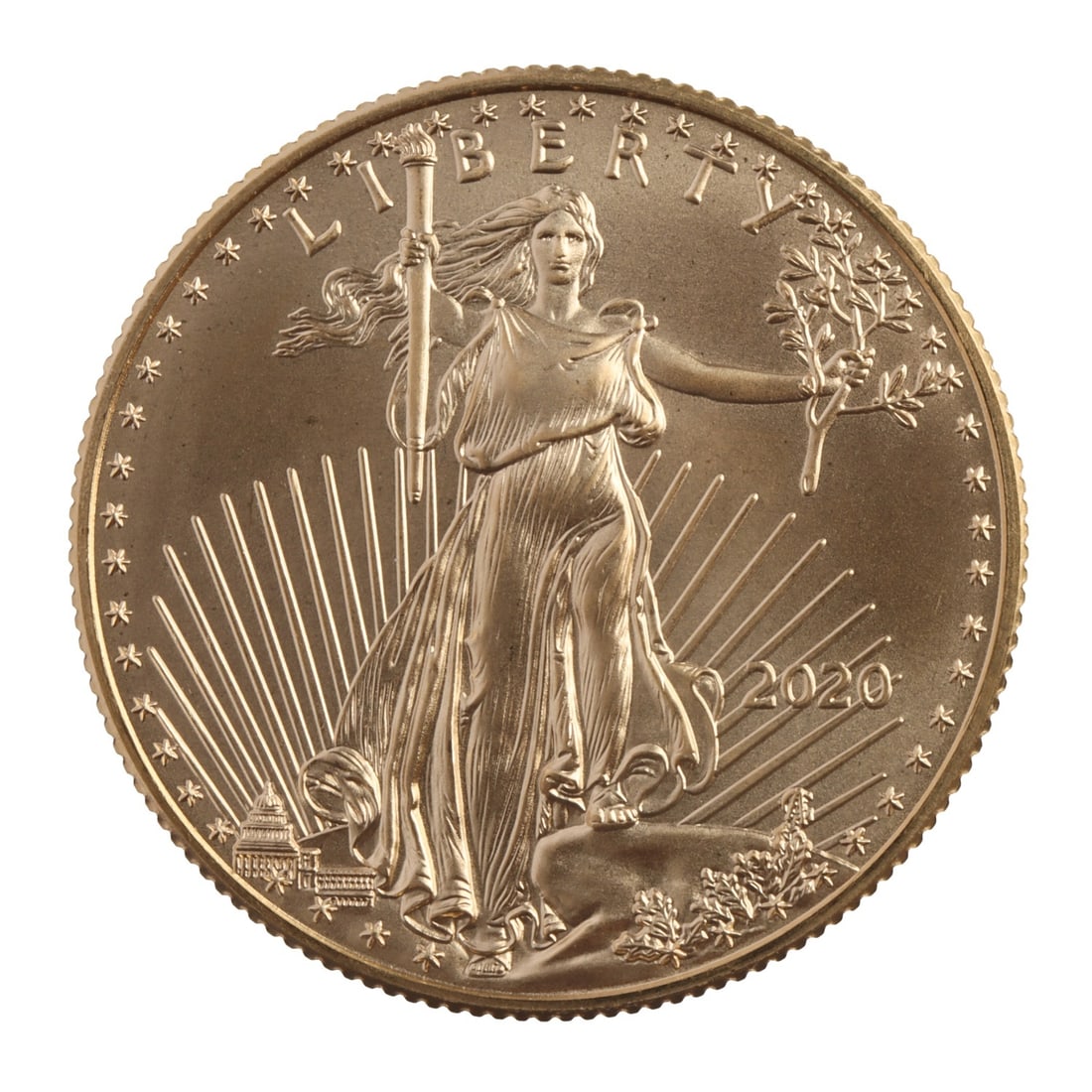 2020 HALF OUNCE GOLD AMERICAN EAGLE (1 of 2)