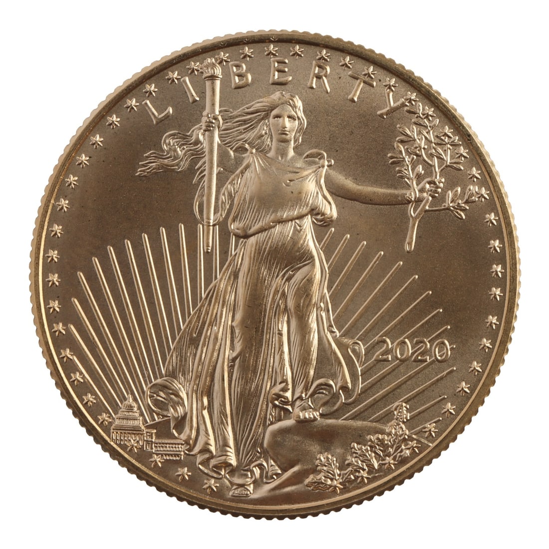 2020 HALF OUNCE GOLD AMERICAN EAGLE (1 of 2)