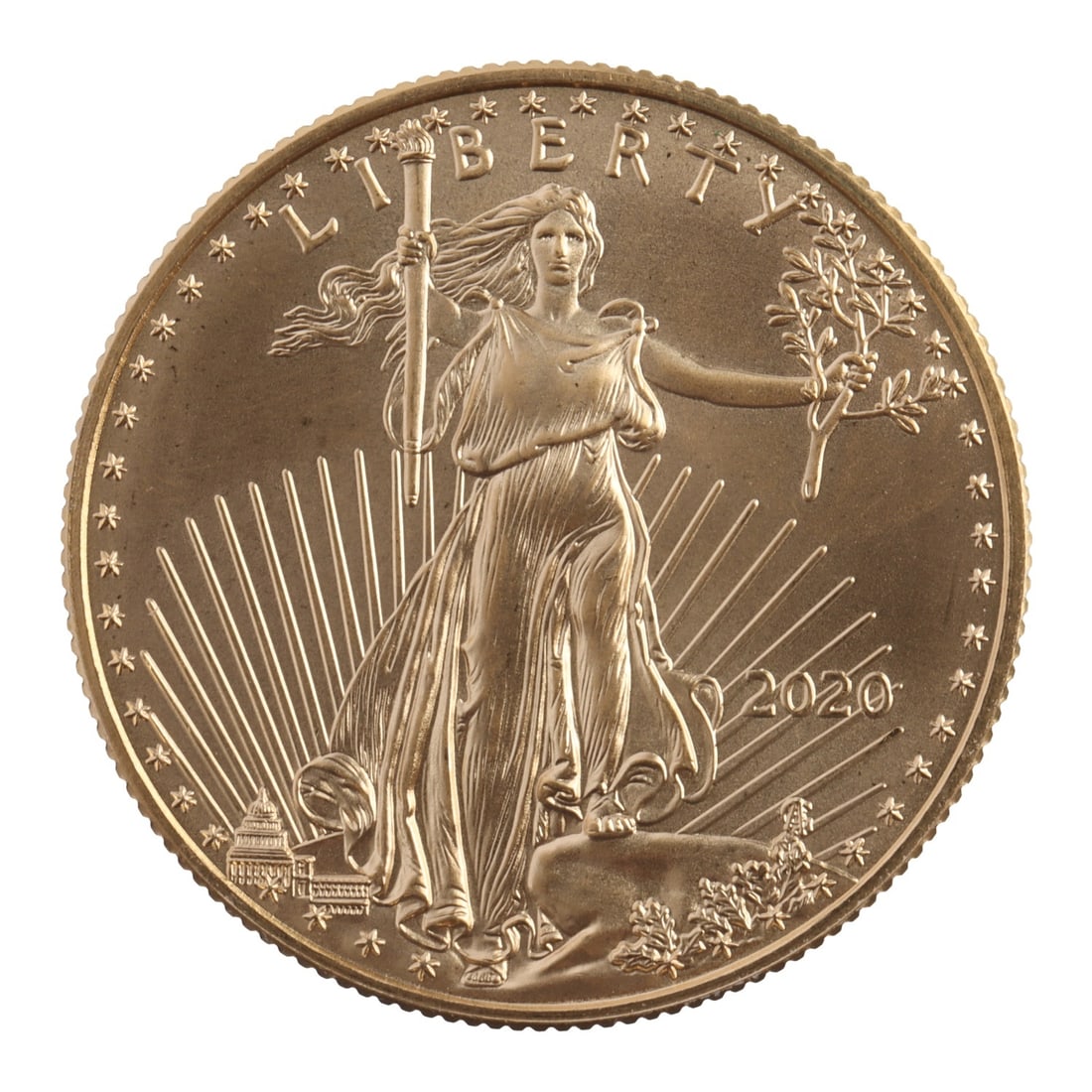 2020 HALF OUNCE GOLD AMERICAN EAGLE (1 of 2)