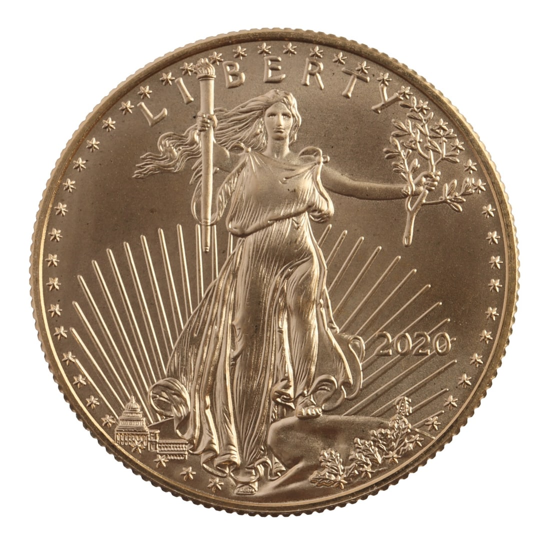 2020 HALF OUNCE GOLD AMERICAN EAGLE (1 of 2)