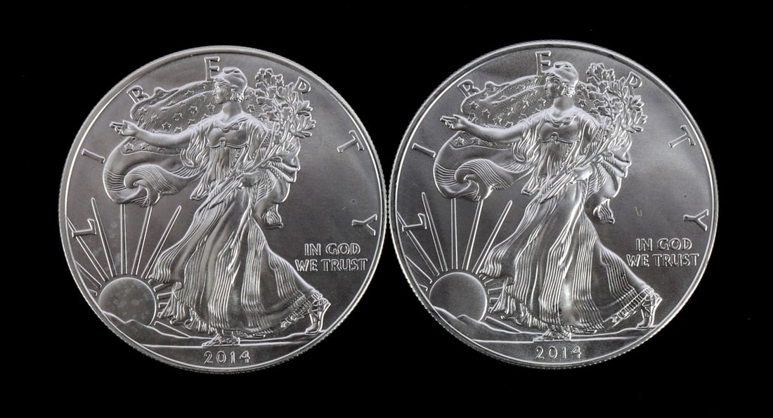 2 ONE TROY OUNCE .999 SILVER EAGLE 2014 (1 of 2)
