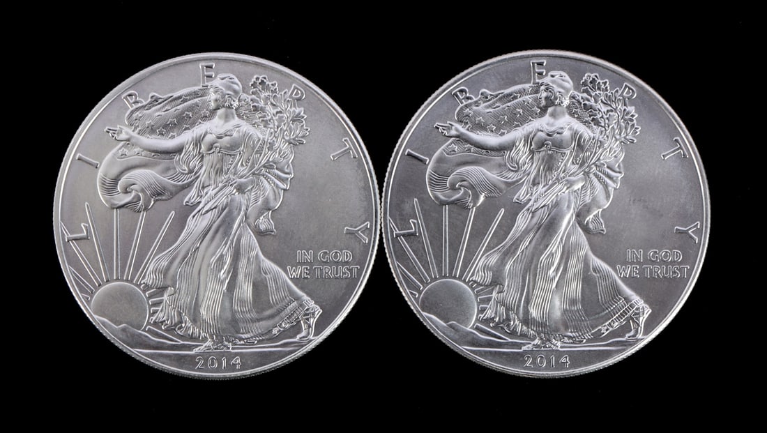 2 ONE TROY OUNCE .999 SILVER EAGLE 2014 (1 of 2)