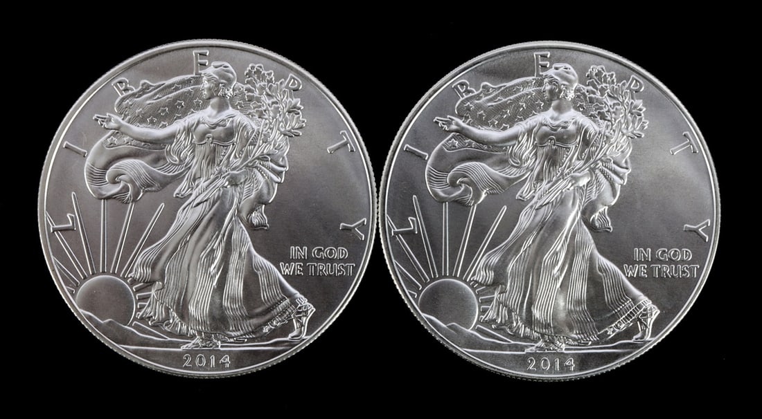 2 ONE TROY OUNCE .999 SILVER EAGLE 2014 (1 of 2)