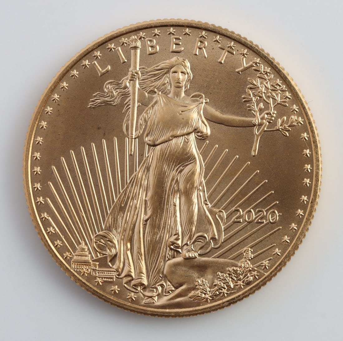 2020 HALF OUNCE GOLD AMERICAN EAGLE (1 of 2)
