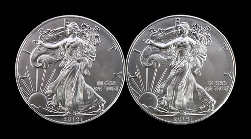 2 ONE TROY OUNCE .999 SILVER EAGLE 2014