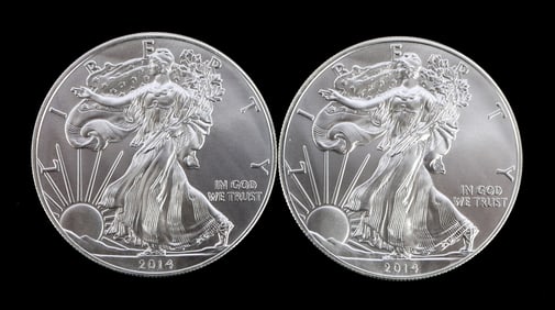 2 ONE TROY OUNCE .999 SILVER EAGLE 2014