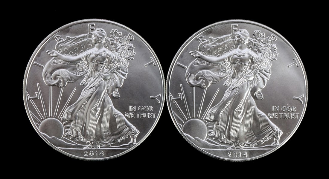 2 ONE TROY OUNCE .999 SILVER EAGLE 2014 (1 of 2)