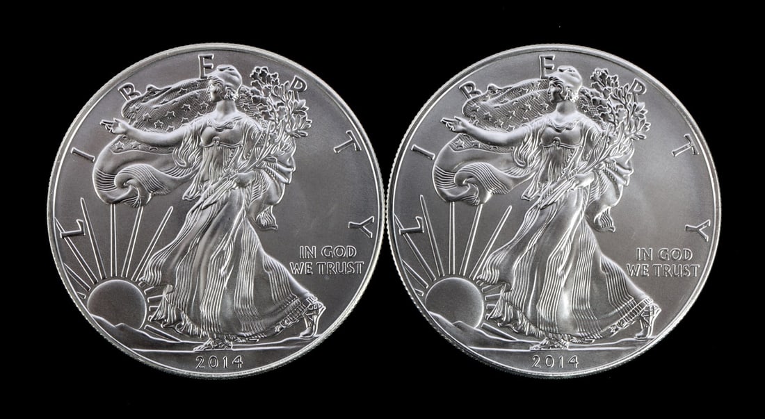 2 ONE TROY OUNCE .999 SILVER EAGLE 2014 (1 of 2)