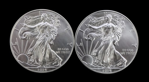 2 ONE TROY OUNCE .999 SILVER EAGLE 2014