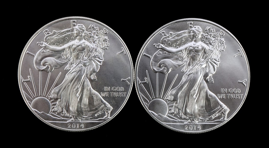 2 ONE TROY OUNCE .999 SILVER EAGLE 2014 (1 of 2)