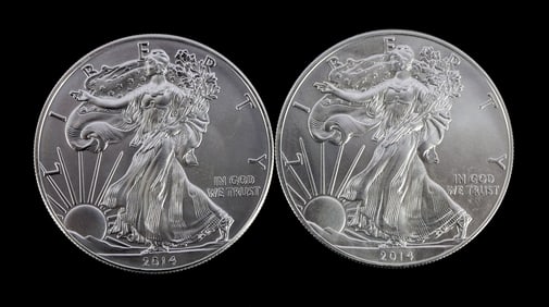 2 ONE TROY OUNCE .999 SILVER EAGLE 2014