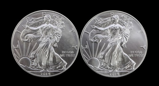 2 ONE TROY OUNCE .999 SILVER EAGLE 2014