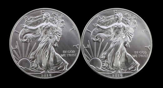2 ONE TROY OUNCE .999 SILVER EAGLE 2014