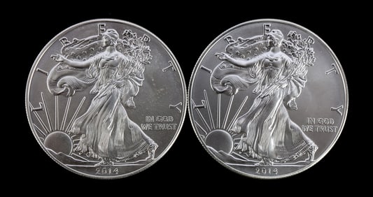 2 ONE TROY OUNCE .999 SILVER EAGLE 2014