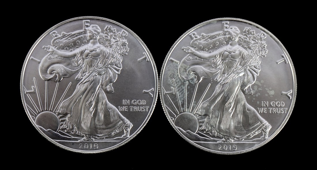 2 ONE TROY OUNCE SILVER AMERICAN EAGLES 2019 (1 of 2)