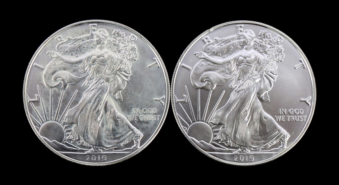 2 ONE TROY OUNCE SILVER AMERICAN EAGLES 2019 (1 of 2)