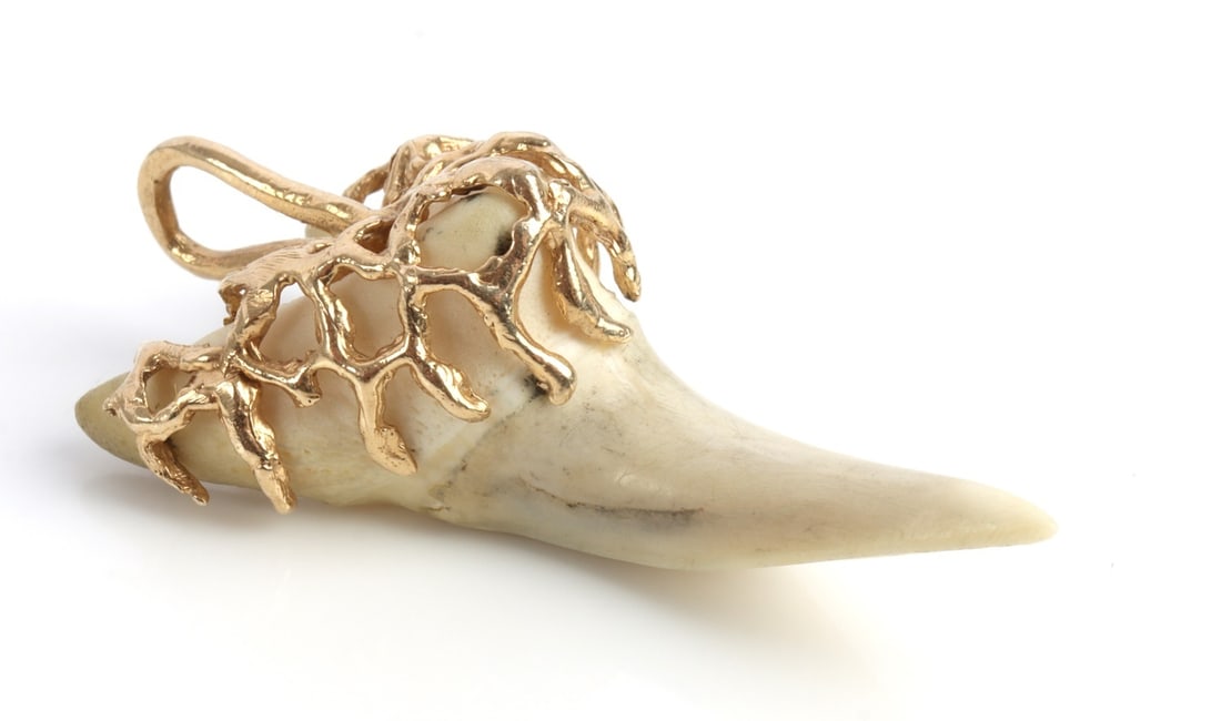 14KT YELLOW GOLD SHARK TOOTH PENDANT (1 of 6)