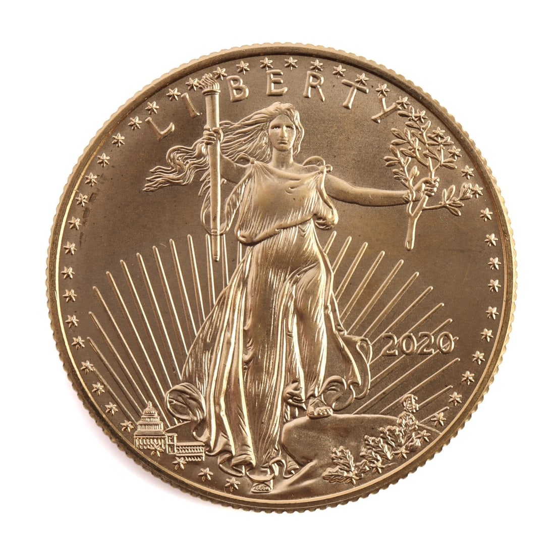 2020 HALF OUNCE GOLD AMERICAN EAGLE (1 of 2)