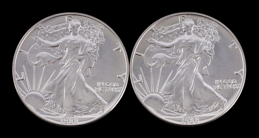 2 ONE OUNCE US SILVER AMERICAN EAGLES (1 of 2)