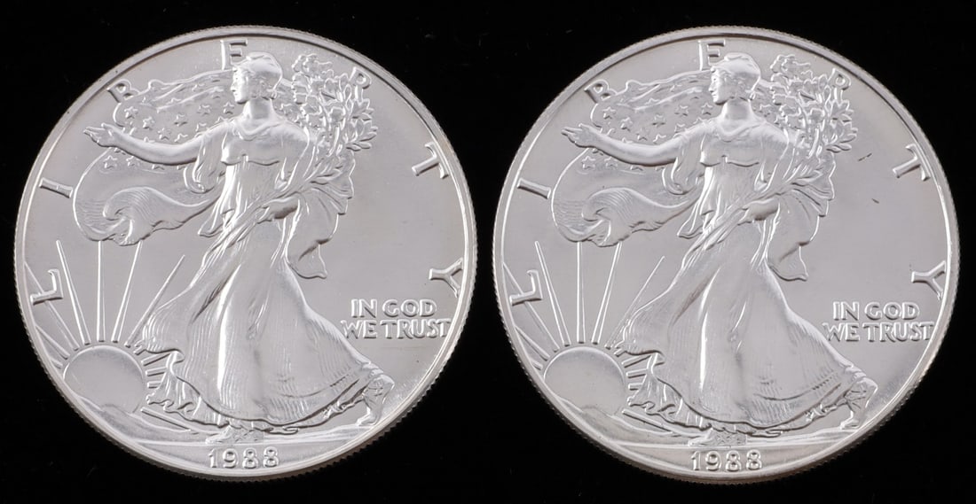 2 ONE OUNCE US SILVER AMERICAN EAGLES (1 of 2)