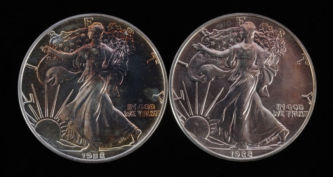 2 ONE OUNCE US SILVER AMERICAN EAGLES (1 of 2)