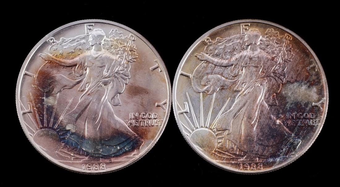 2 ONE OUNCE US SILVER AMERICAN EAGLES (1 of 2)