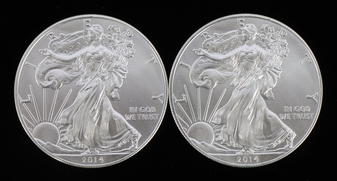 2 ONE TROY OUNCE .999 SILVER EAGLE 2014 (1 of 2)