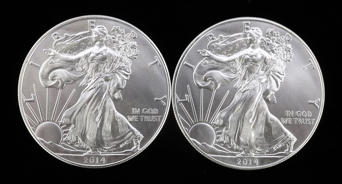 2 ONE TROY OUNCE .999 SILVER EAGLE 2014 (1 of 2)