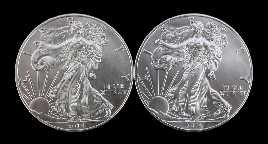 2 ONE TROY OUNCE .999 SILVER EAGLE 2014 (1 of 2)