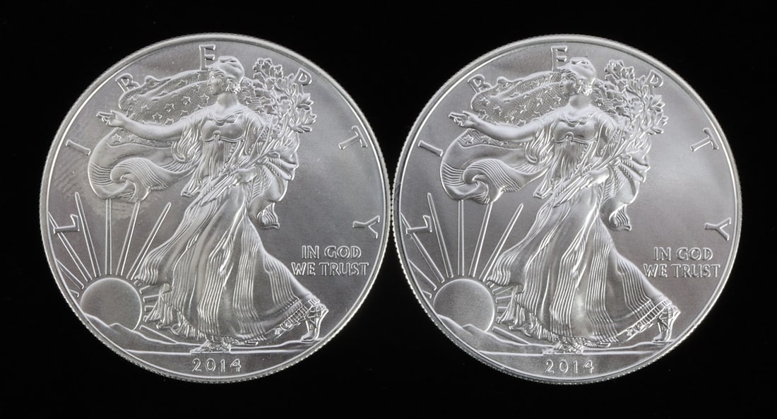 2 ONE TROY OUNCE .999 SILVER EAGLE 2014 (1 of 2)