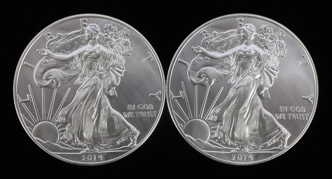 2 ONE TROY OUNCE .999 SILVER EAGLE 2014 (1 of 2)