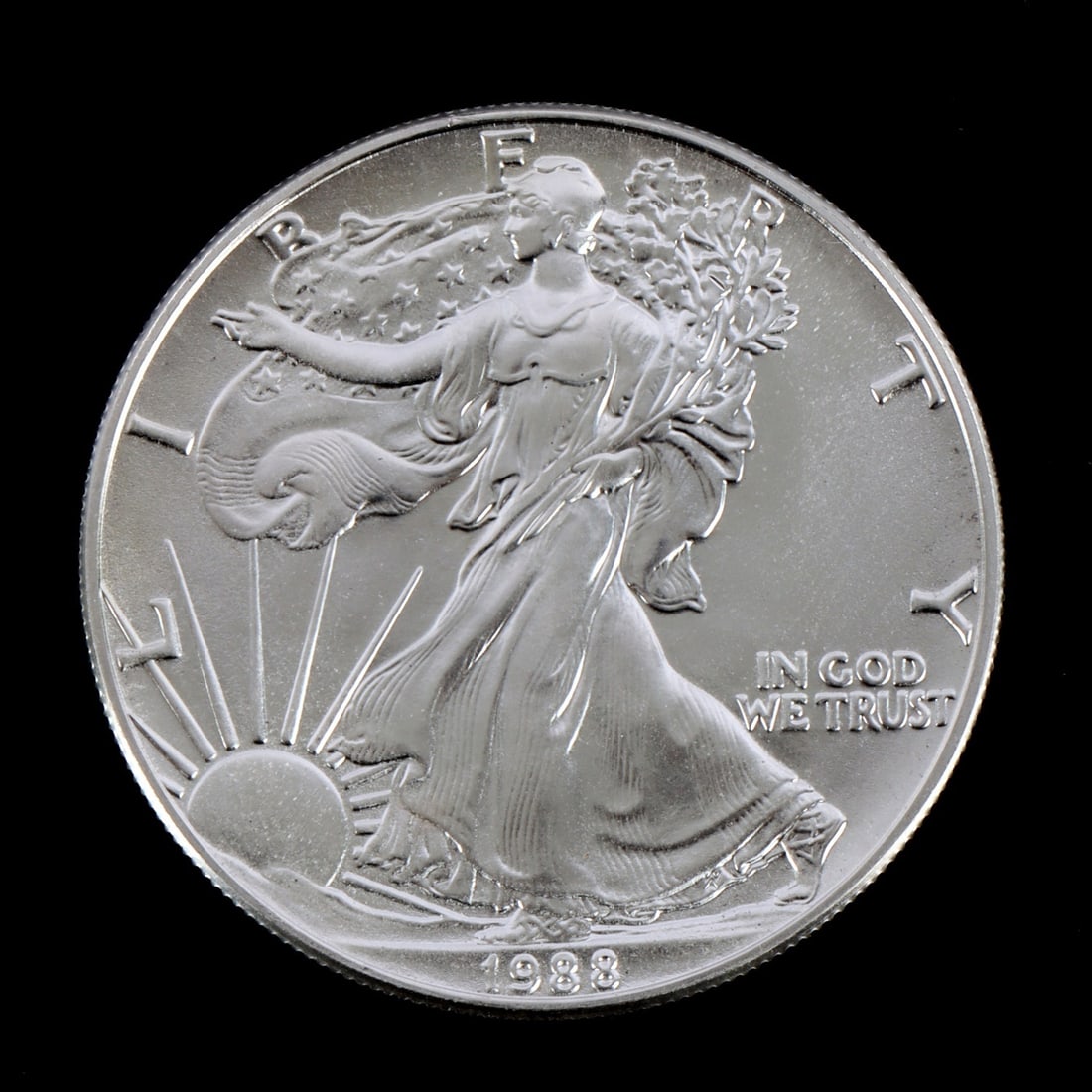 1 ONE OUNCE US SILVER AMERICAN EAGLE (1 of 2)