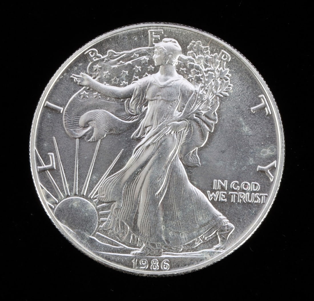 1 ONE OUNCE US SILVER AMERICAN EAGLE (1 of 2)