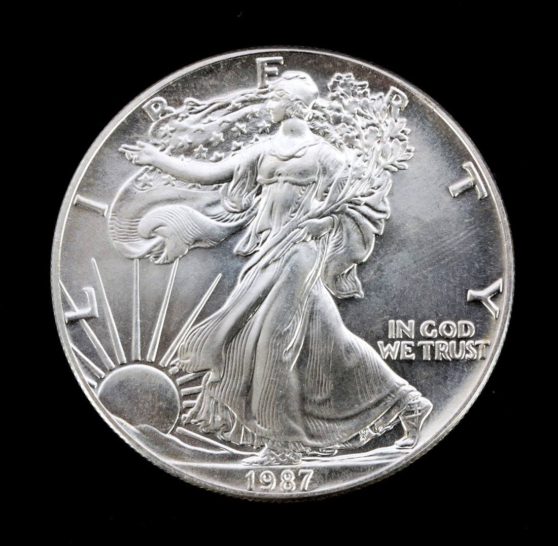 1 ONE OUNCE US SILVER AMERICAN EAGLE (1 of 2)