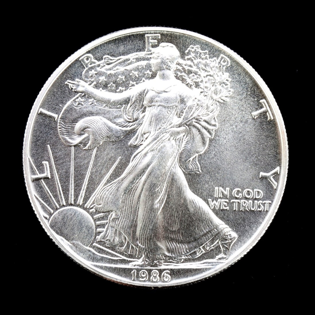 1 ONE OUNCE US SILVER AMERICAN EAGLE (1 of 2)