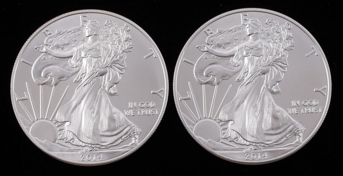 2 ONE OUNCE US SILVER AMERICAN EAGLES (1 of 2)
