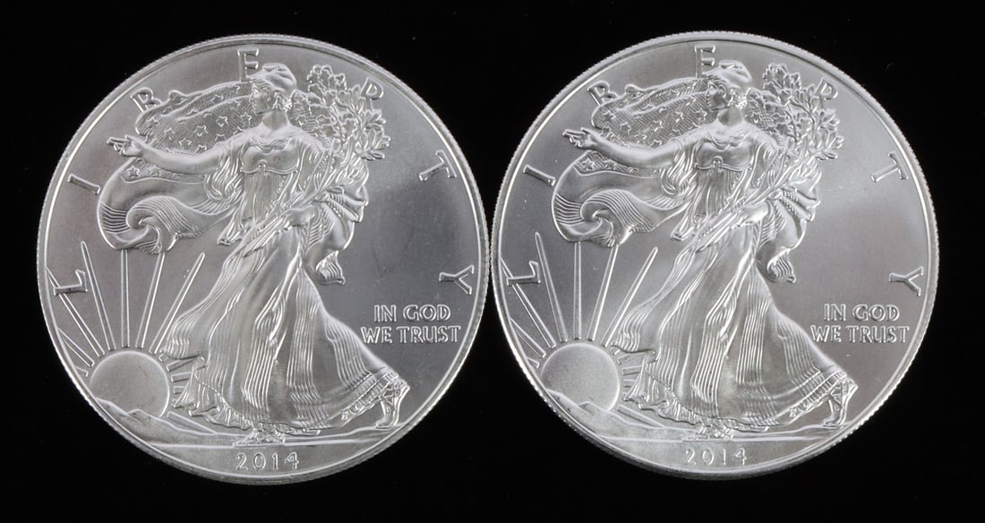 2 ONE OUNCE US SILVER AMERICAN EAGLES (1 of 2)