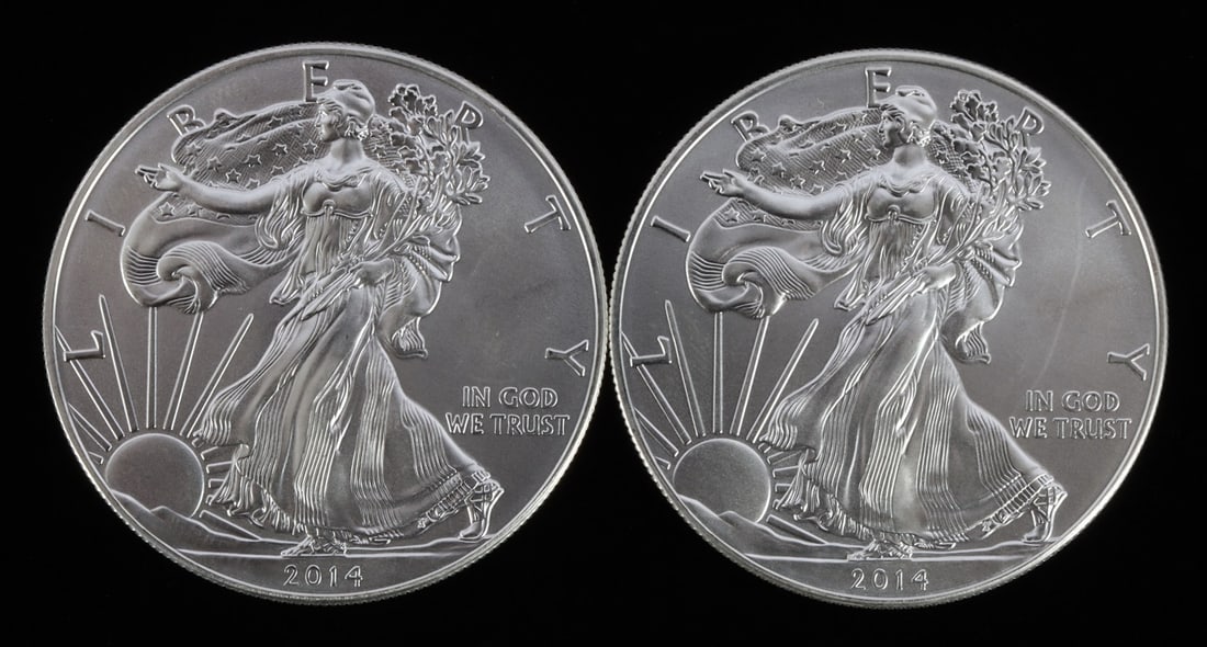 2 ONE TROY OUNCE .999 SILVER EAGLE 2014 (1 of 2)