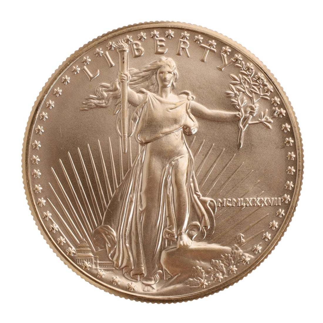 1987 ONE OUNCE GOLD AMERICAN EAGLE (1 of 2)
