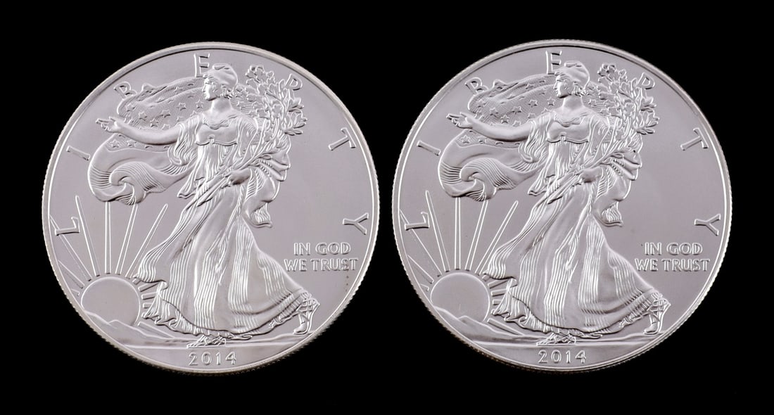 2 ONE TROY OUNCE .999 SILVER EAGLE 2014 (1 of 2)