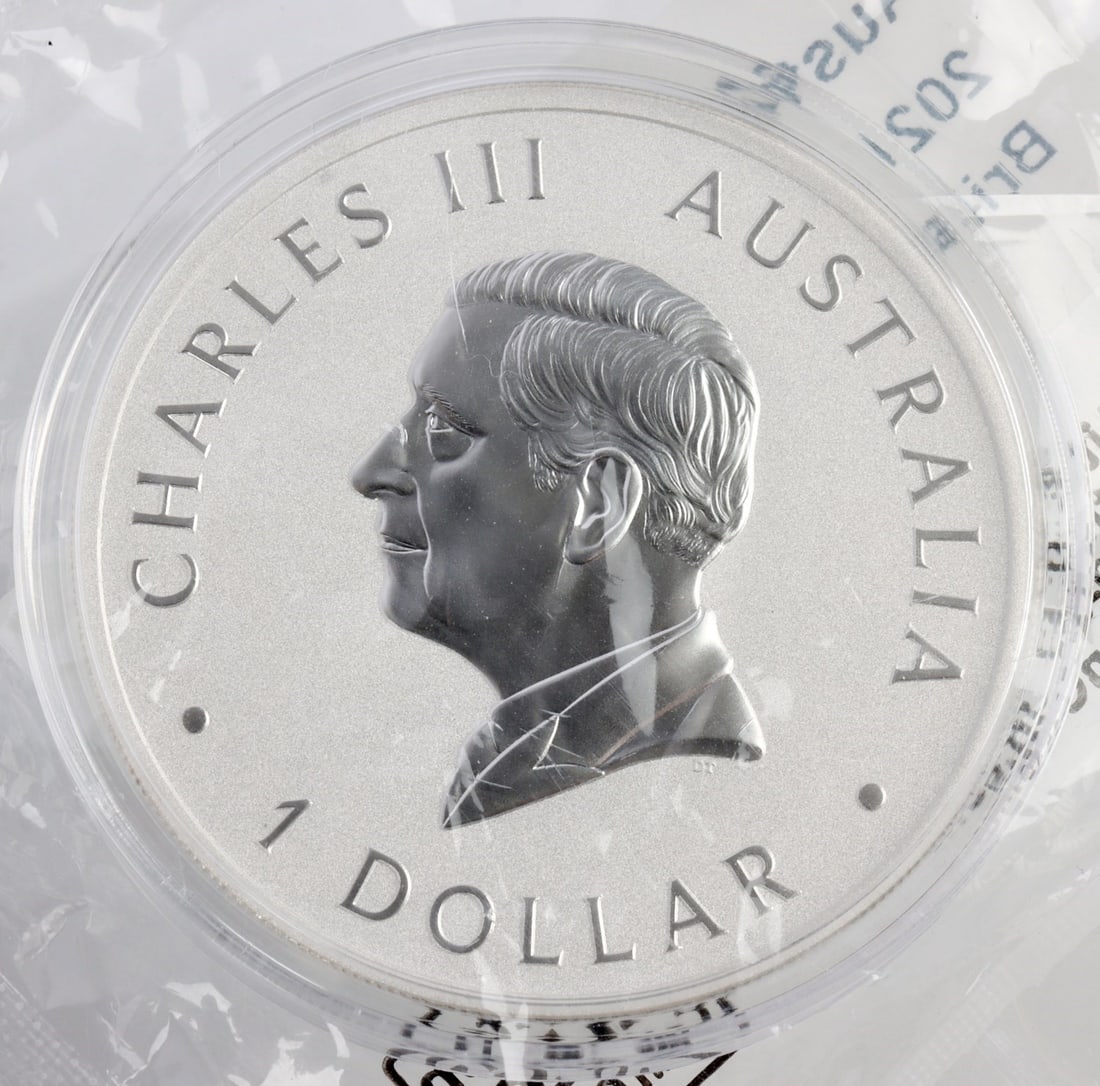 2024 1 OUNCE SILVER AUSTRALIAN KOOKABURRA COIN: 999 Fineness. This lot reserved at melt. || Payment & Shipping: Accounts without purchase history must pay via Zelle, money order, cashier's check or wire transfer. Items will ship within 10 business
