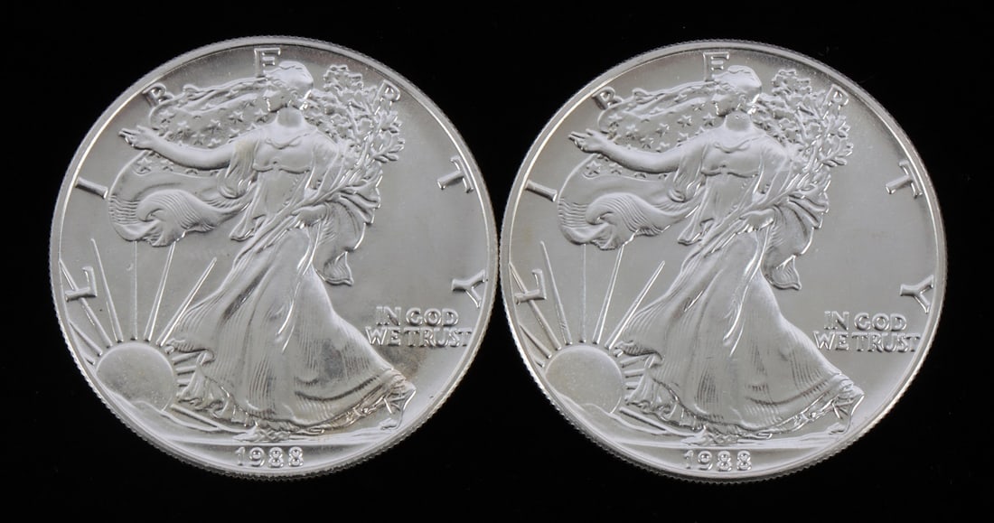 2 ONE OUNCE US SILVER AMERICAN EAGLES (1 of 2)