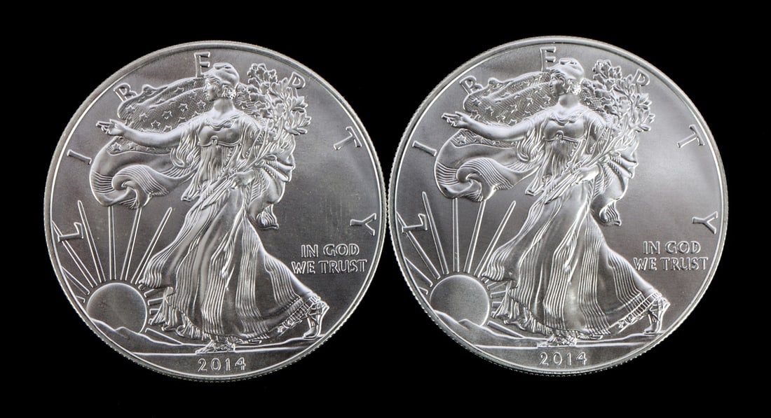 2 ONE TROY OUNCE .999 SILVER EAGLE 2014 (1 of 2)